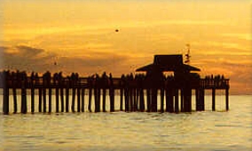 fishing peer