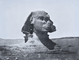Sphynx