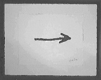 Your Life